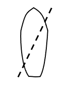 解説画像